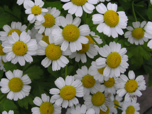 419316 (a): :1600x1200